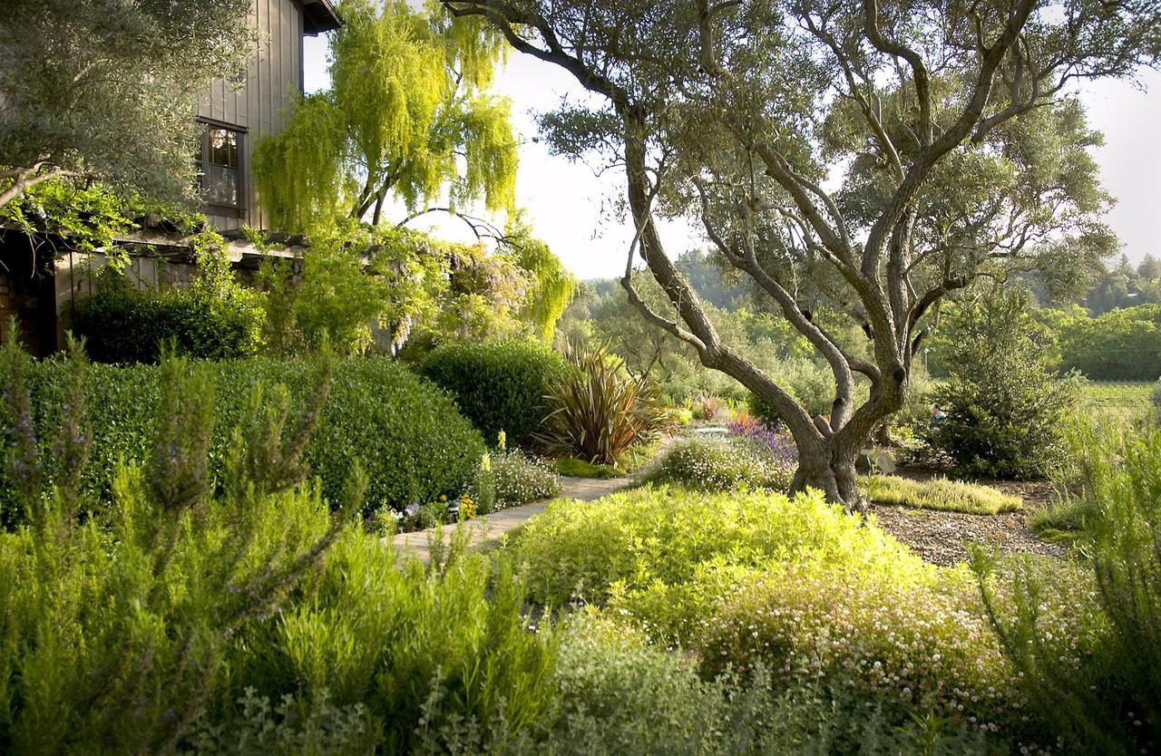 Wine Country Inn Napa Valley St. Helena Kültér fotó