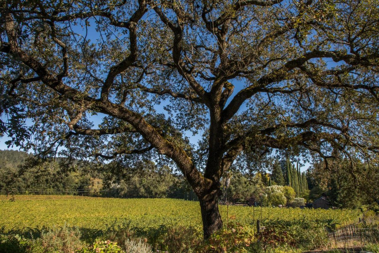 Wine Country Inn Napa Valley St. Helena Kültér fotó