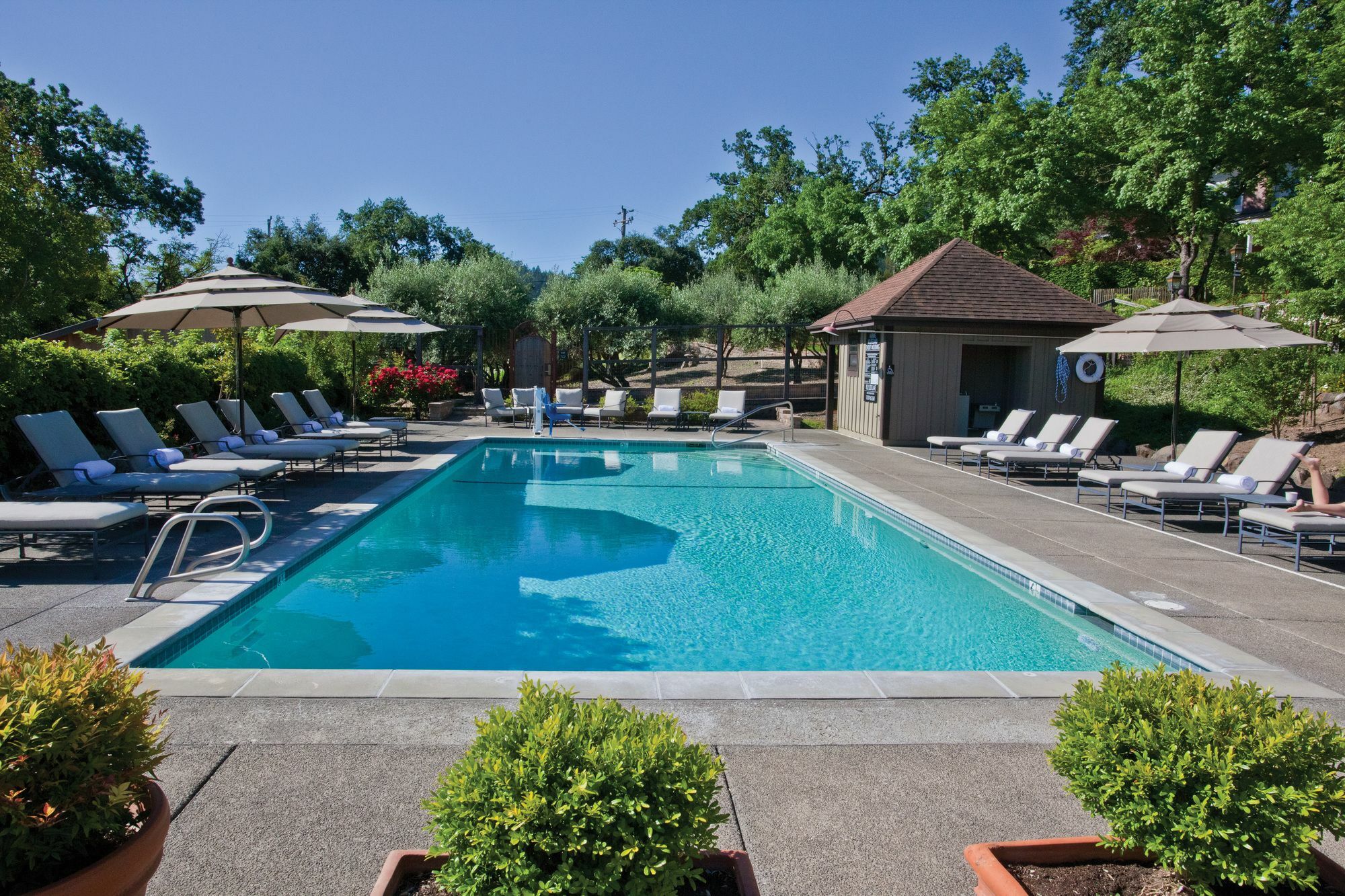 Wine Country Inn Napa Valley St. Helena Kültér fotó